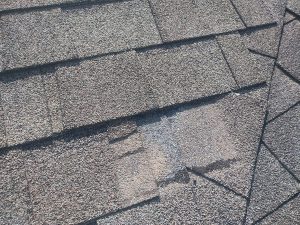 Roof 2403 S 12th Pl Rogers Ar 004