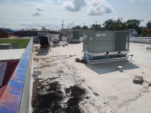 Roof Acambaro Tpo Rogers Ar 005