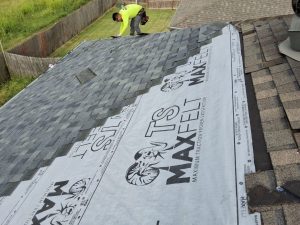 Roof Phia Xiong Rogers Ar 029