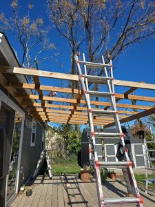 Metal Roof Ne Monroe St Bentonville, Ar (5)