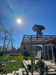 Metal Roof Ne Monroe St Bentonville, Ar (6)