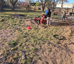 Stumps Grinding W Mockingbird Ln Rogers, Ar (10)