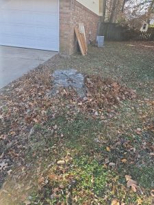 Stumps Grinding W Mockingbird Ln Rogers, Ar (2)