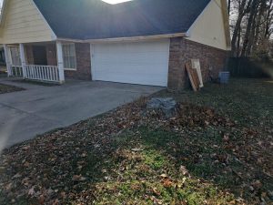 Stumps Grinding W Mockingbird Ln Rogers, Ar (3)