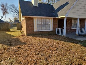 Stumps Grinding W Mockingbird Ln Rogers, Ar (4)