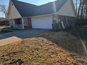 Stumps Grinding W Mockingbird Ln Rogers, Ar (5)