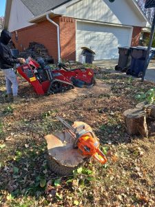 Stumps Grinding W Mockingbird Ln Rogers, Ar (6)