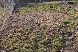 Stumps Grinding W Mockingbird Ln Rogers, Ar (9)